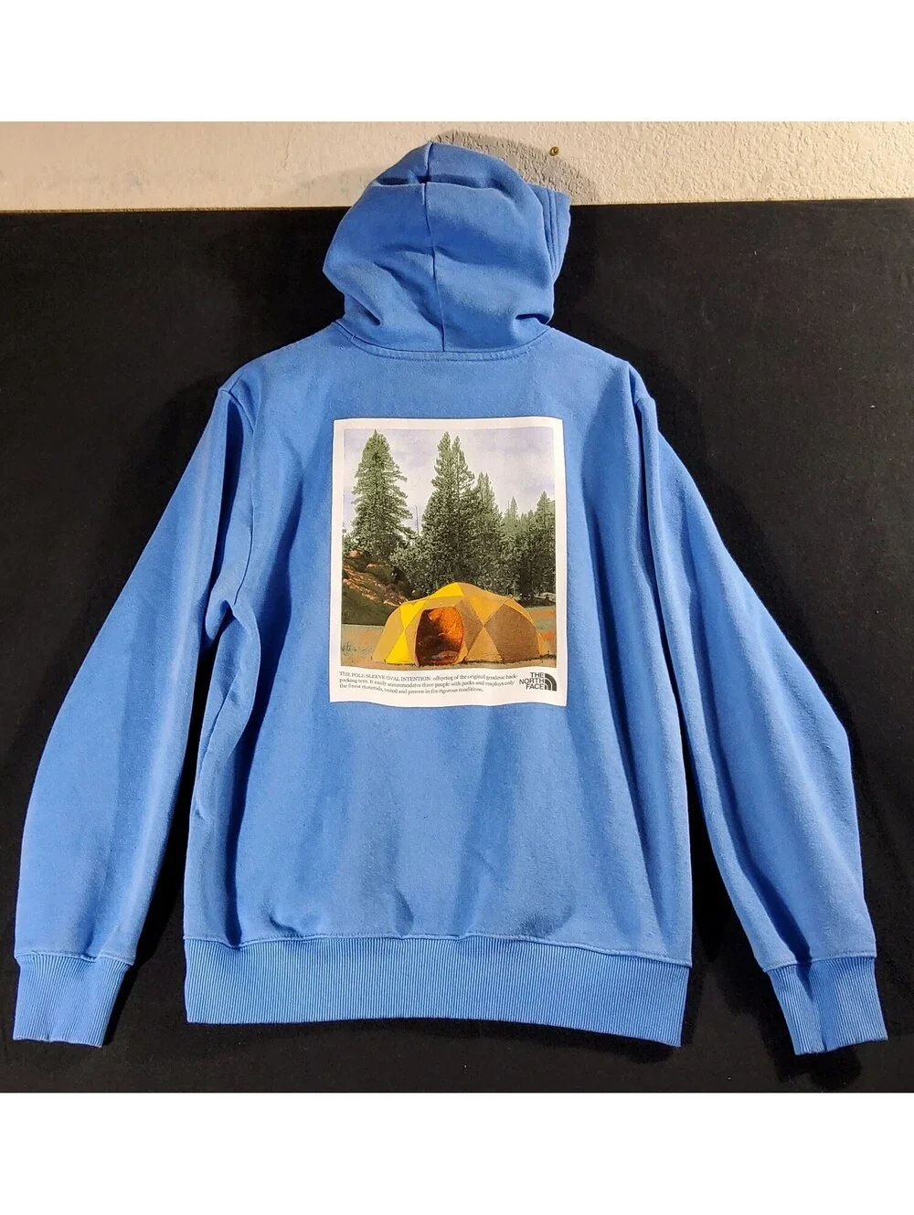 The North Face great north